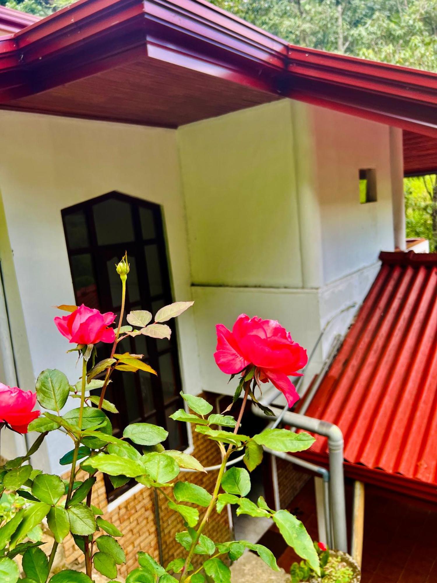 Pineview Lodge Ella Zewnętrze zdjęcie